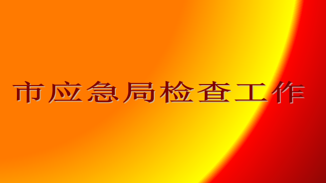 2023年度内蒙古蒙联石化公司安全评估检查